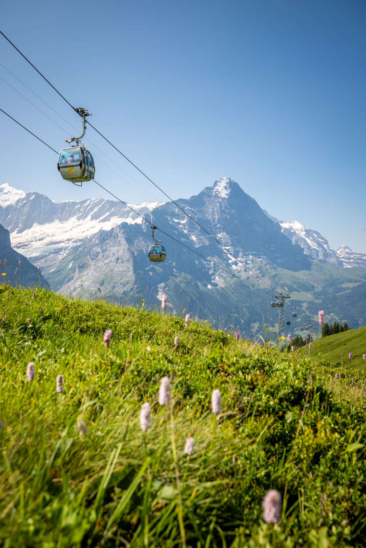 Spring in Grindelwald
