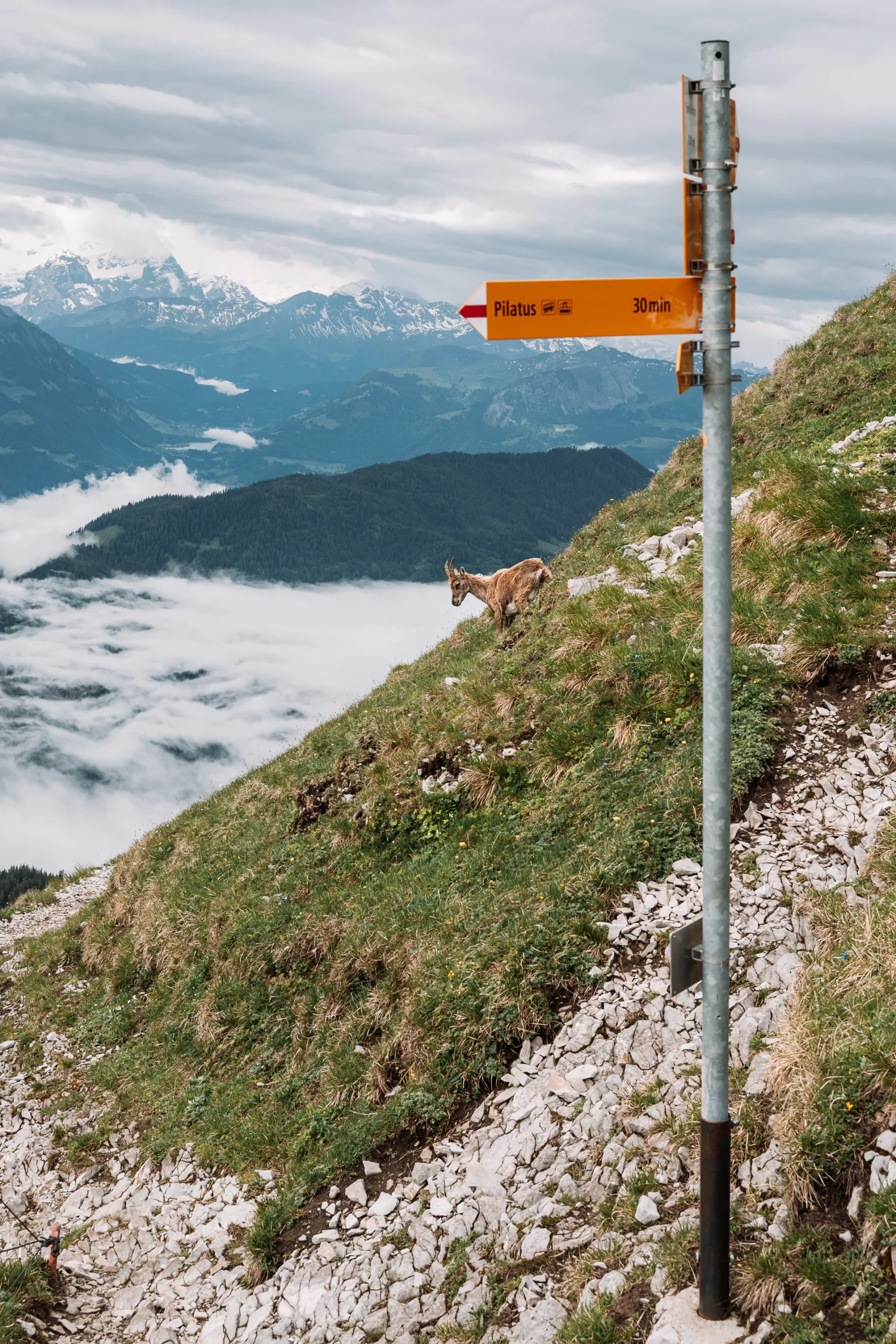 Senderismo en el Pilatus