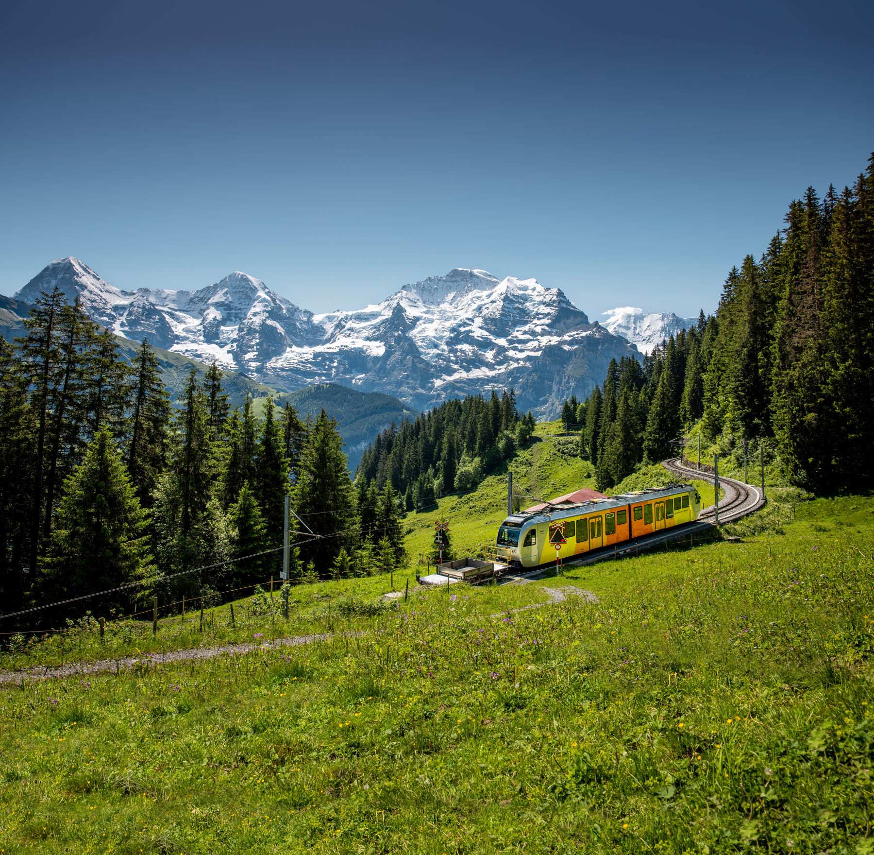 Spring at Jungfraujoch