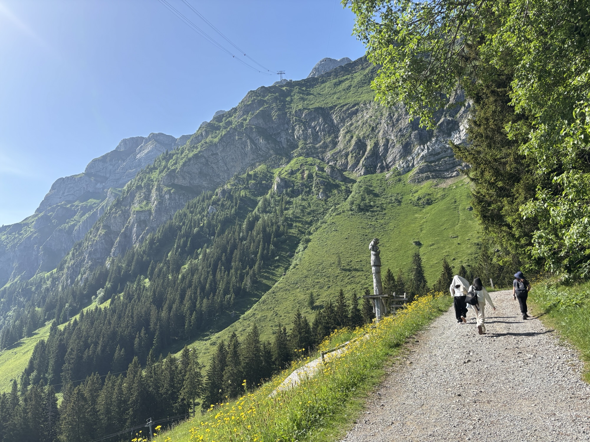 Hiking Trails