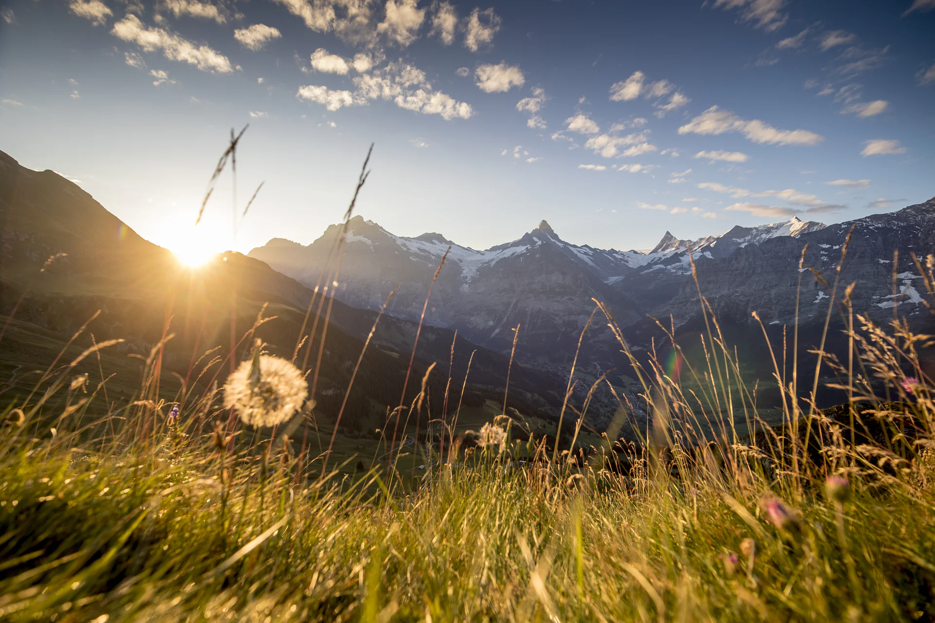 Weather and mountain conditions in Grindelwald