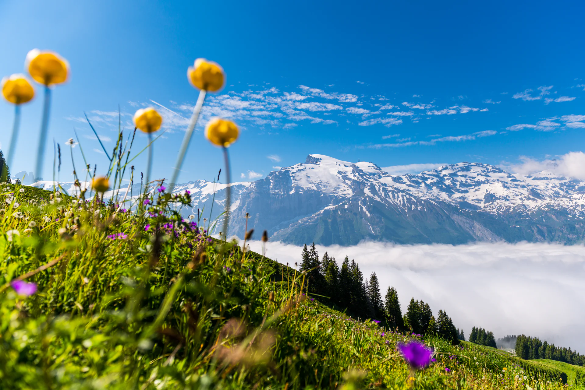 Weather and mountain conditions at Mount Titlis