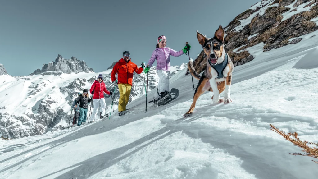 Snowshoeing at Titlis
