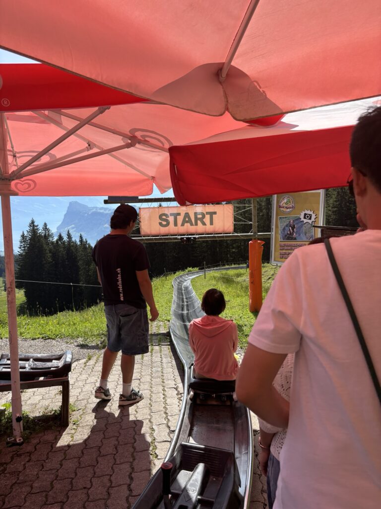Summer Toboggan Run Mount Pilatus