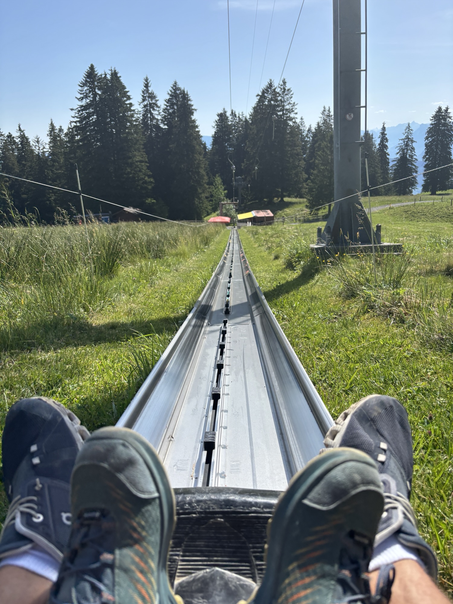Summer Toboggan Run