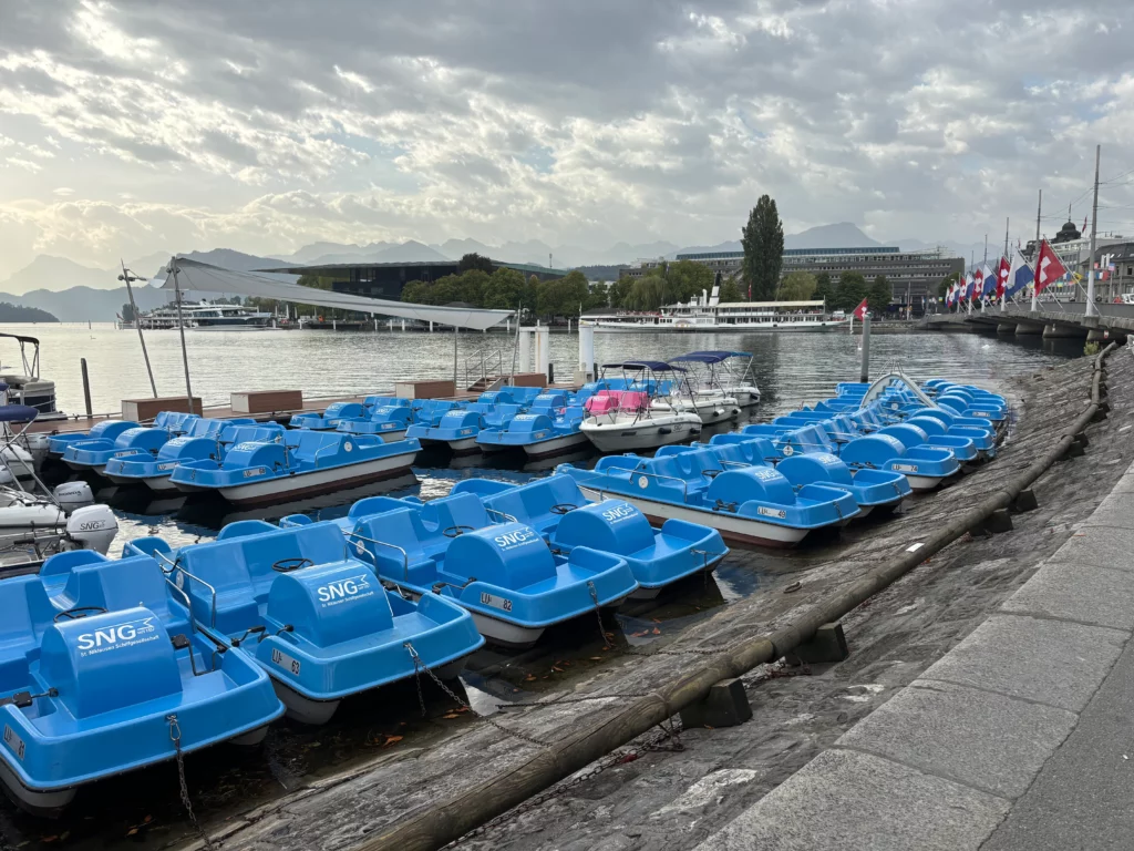 Paddle Boat Rental