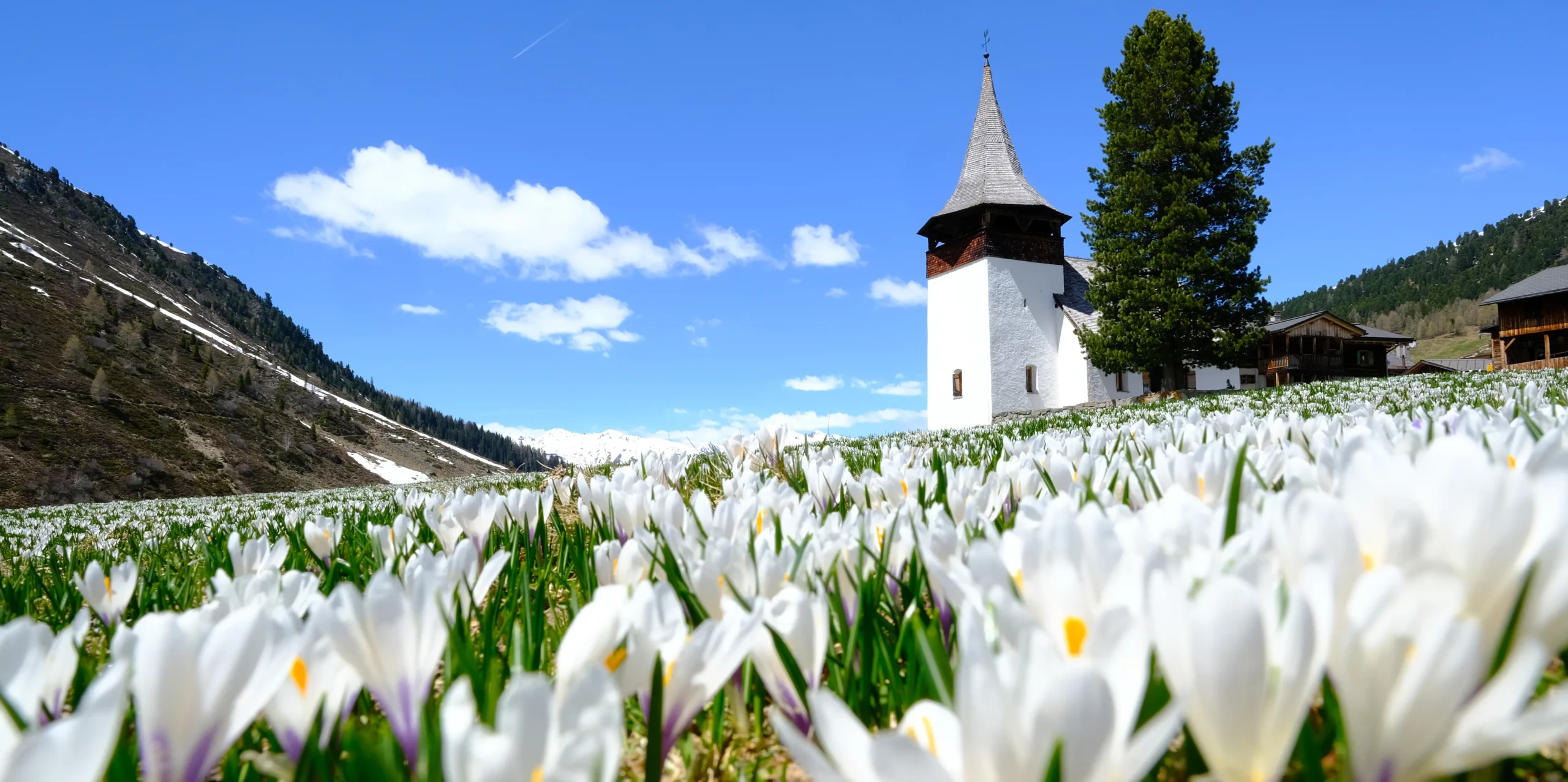 Spring in Davos