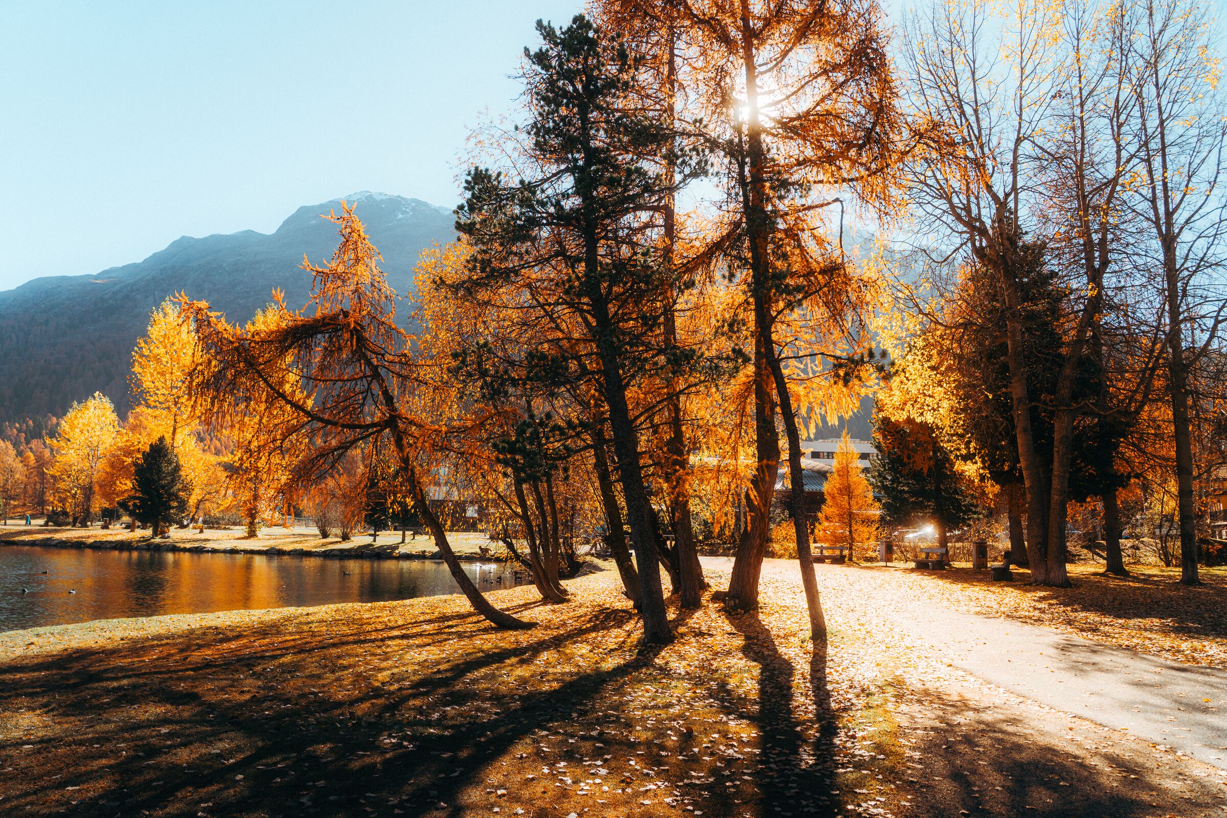 Der Herbst in St. Moritz