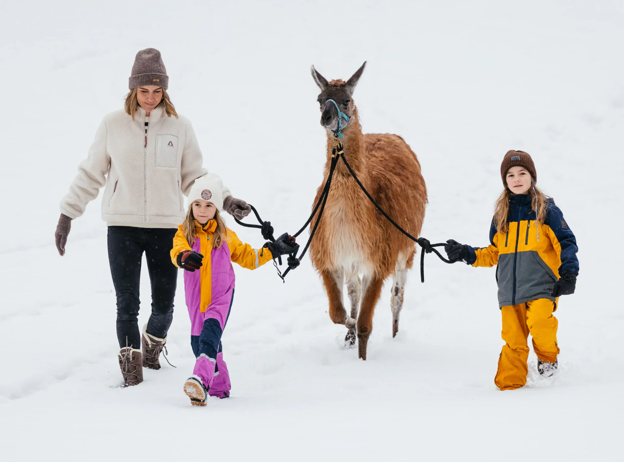 Lama Winter Hike
